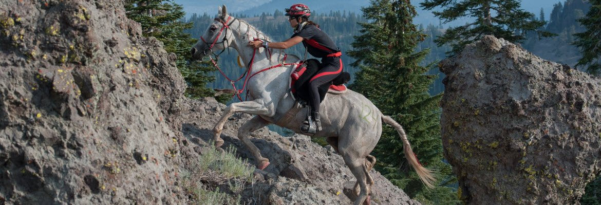 Endurance horse ascending a mountain trail.