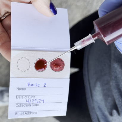 Equine Omega Profile Test Kit