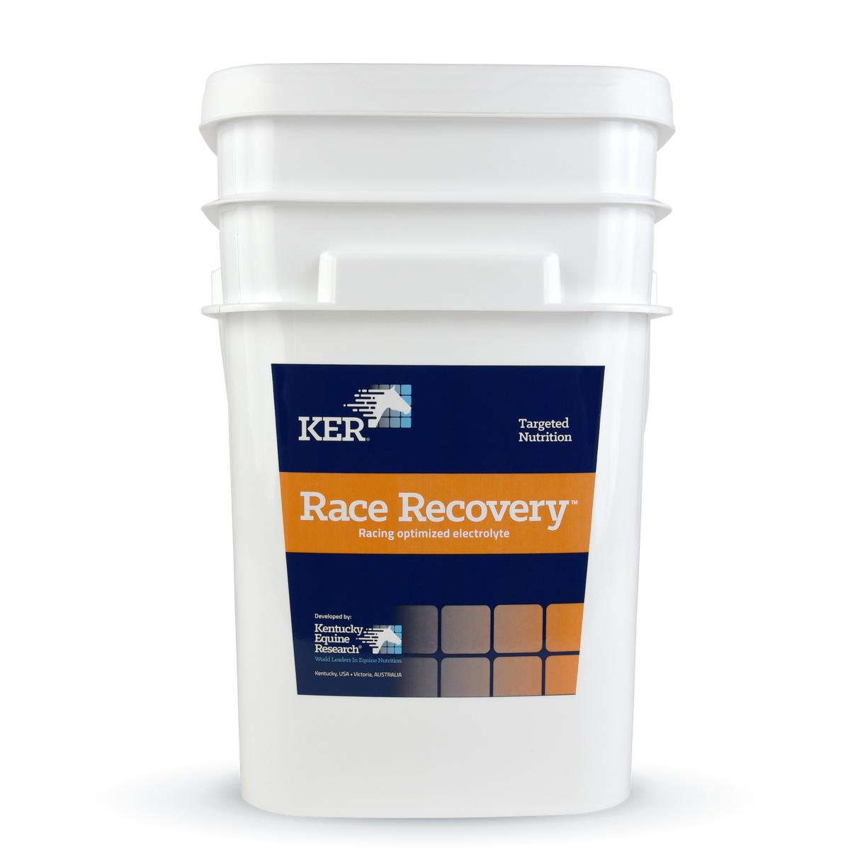 Electrolyte supplement for racehorses