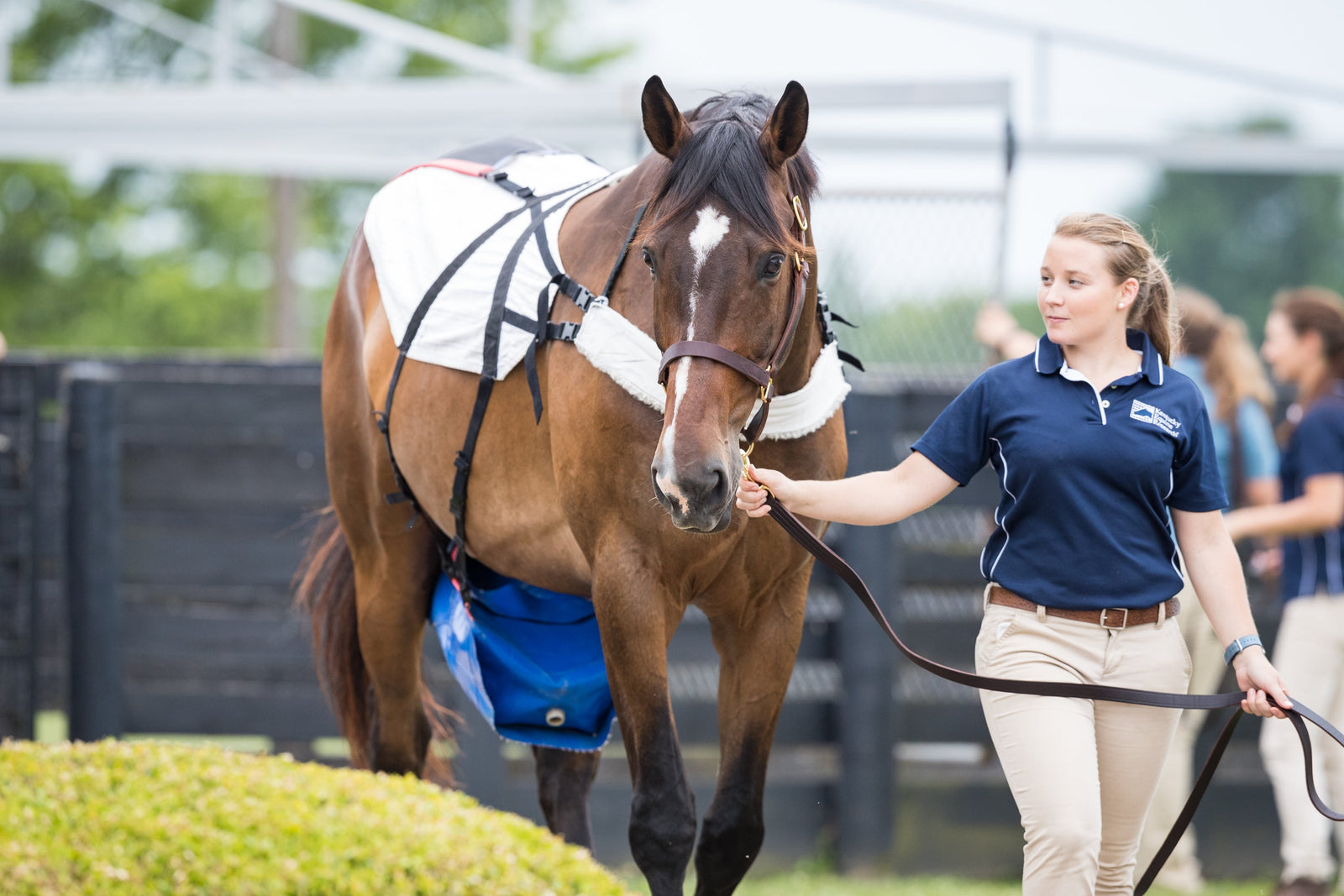 Research is Our Key Ingredient