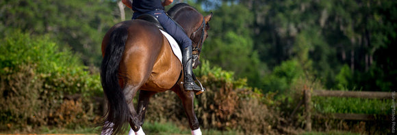 Dressage horse performing a half-pass in an outdoor arena.