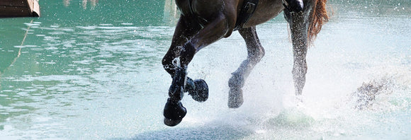 Close-up of a horse's legs galloping through the water on a cross-country course.