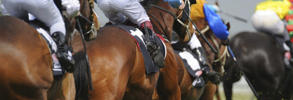 Picture of racehorses galloping from behind