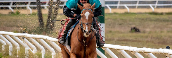 Racehorse breezing on a training track.