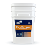 Electrolyte supplement for racehorses