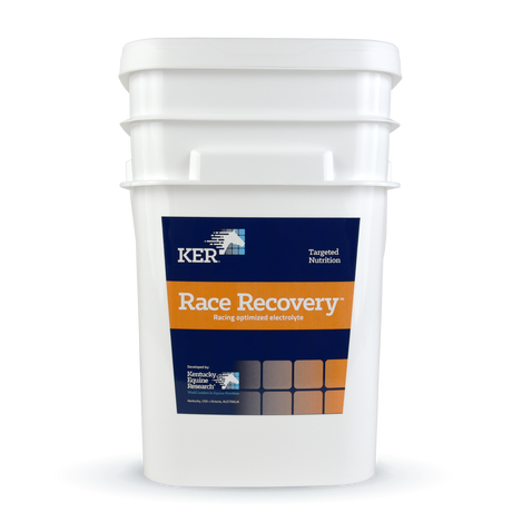 Electrolyte supplement for racehorses