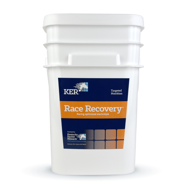 Electrolyte supplement for racehorses