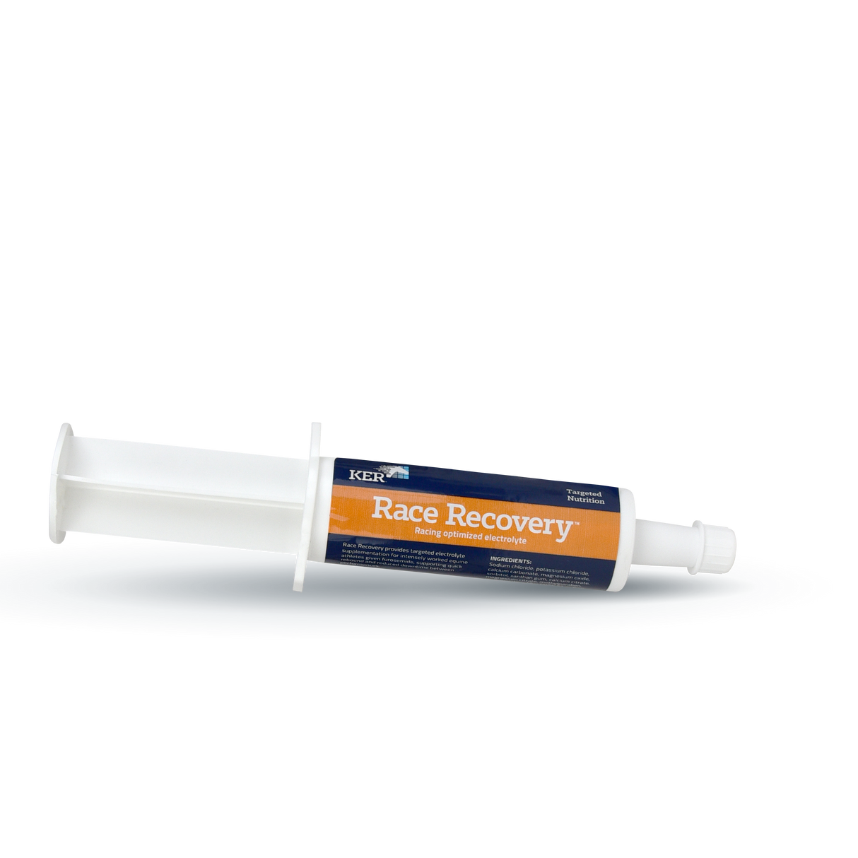 Electrolyte paste for racehorses