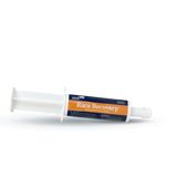 Electrolyte paste for racehorses