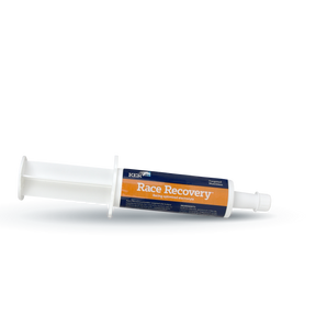 Electrolyte paste for racehorses